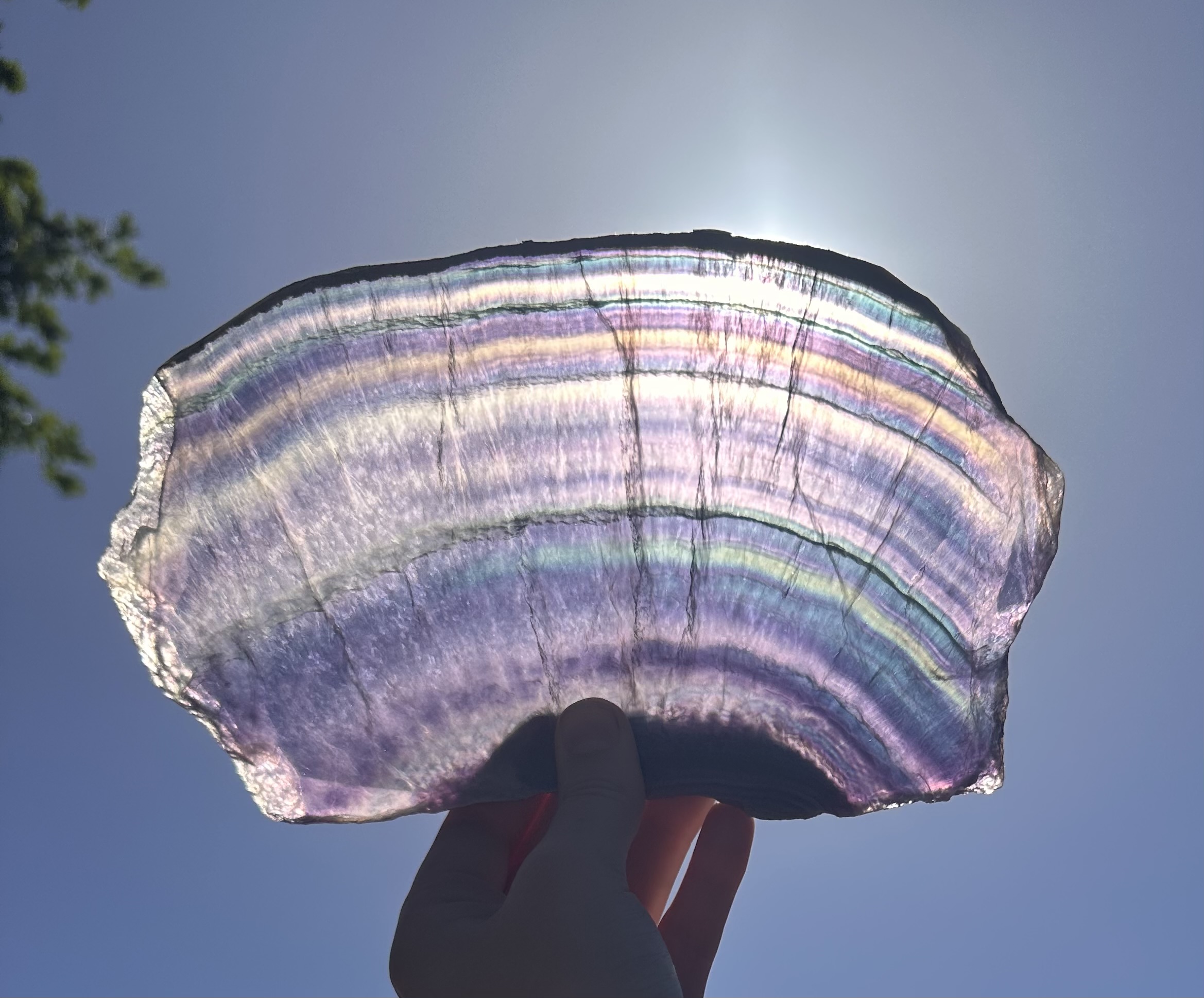 Fluoriet slab